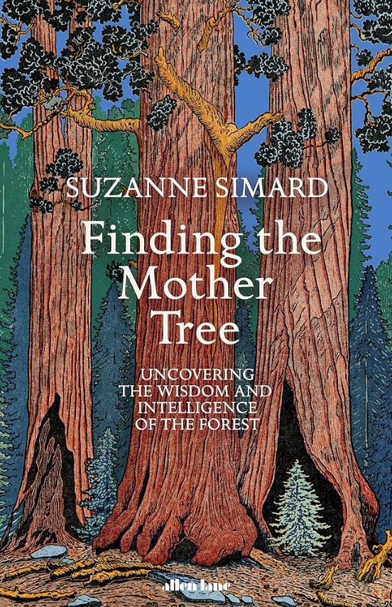 Finding the mother tree by Suzanne simard